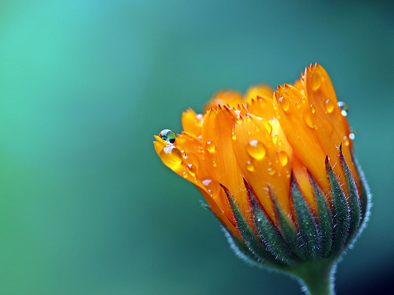 Featured image for “Probebeitrag 4”